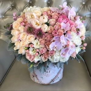 Meet your Posher, Hermine